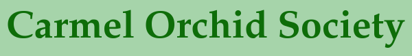 Carmel Orchid Society