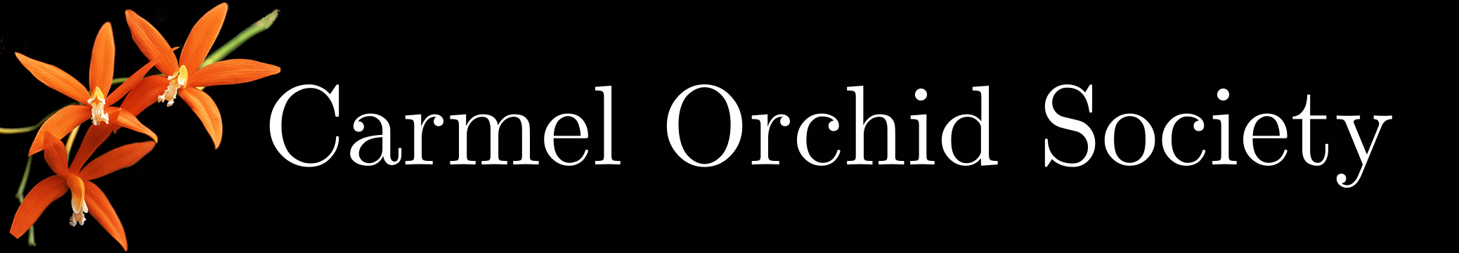 Carmel Orchid Society