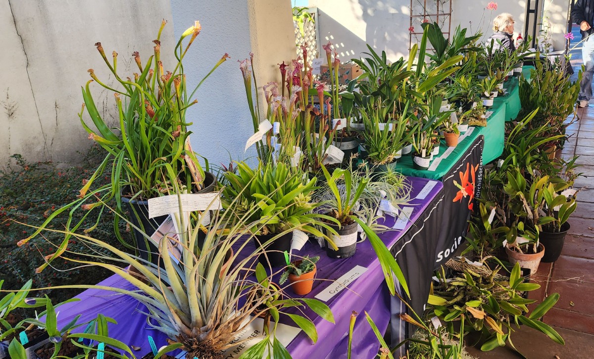 20251107_092328 (1200)