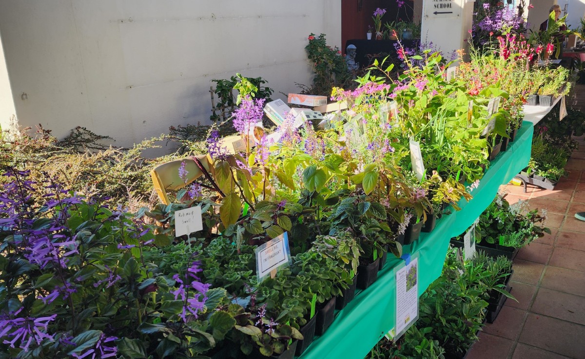 20251107_092500 (1200)