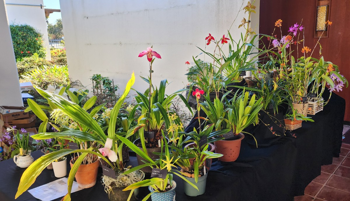 20251107_092544 (1200)