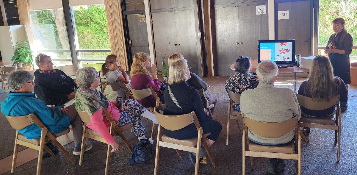 20251107_102233 (1200)