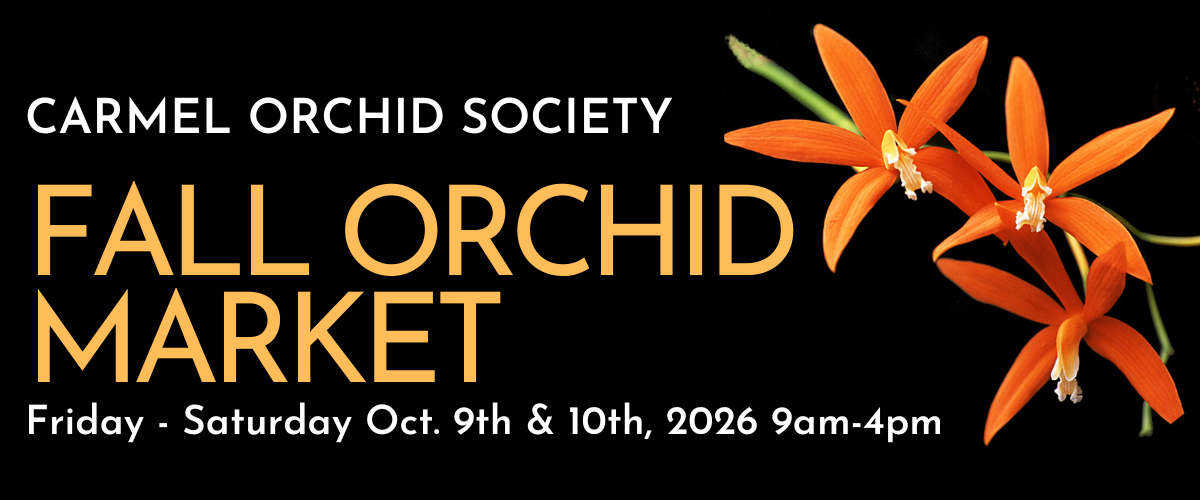 COS Fall Market narrow 1200x500